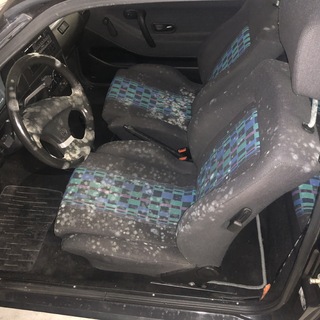 Ein total mit Schimmel befallenes Autointerieur. Eine ungesunde Sache!
